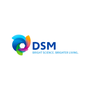 DSM bedrijfslogo