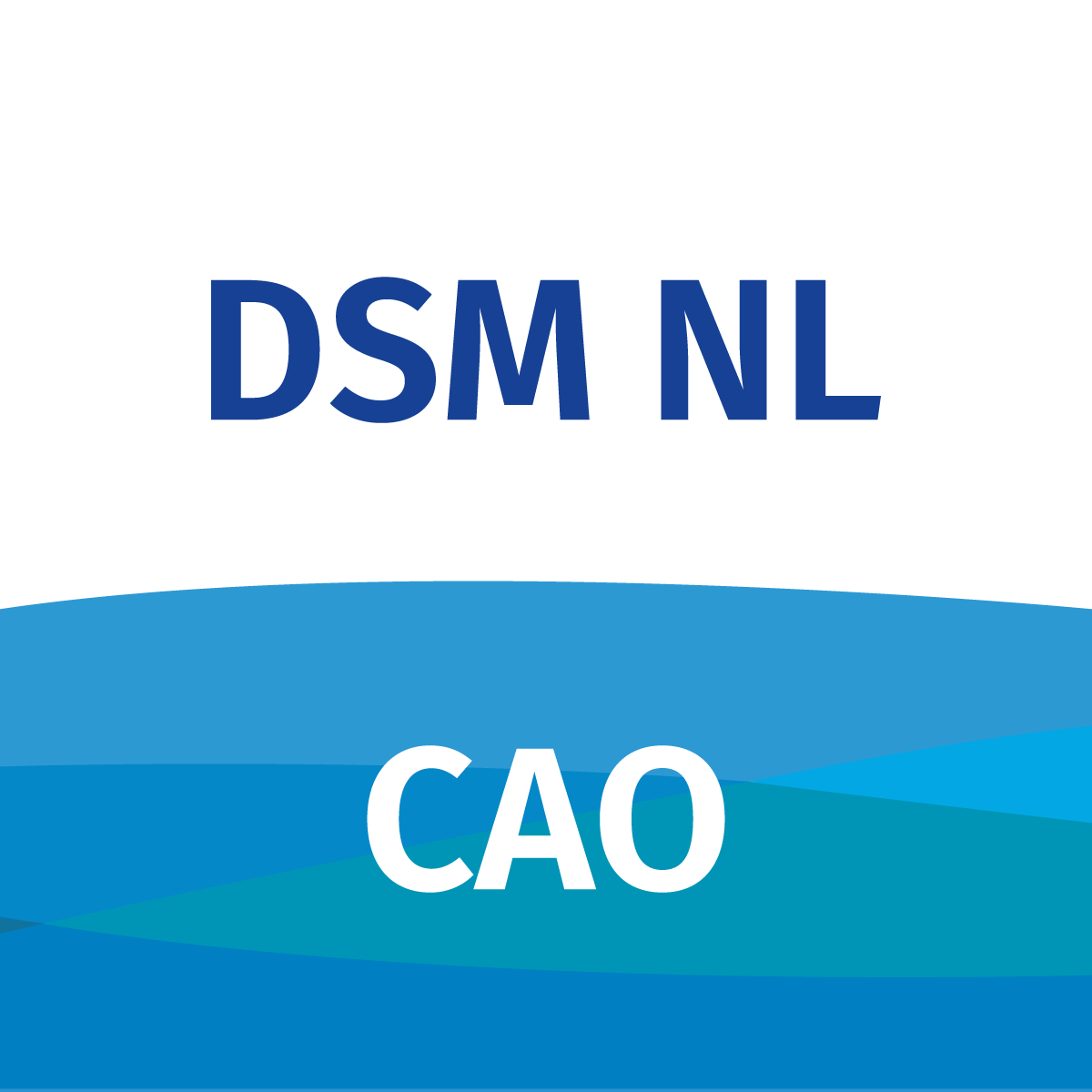 CAO DSM Nederland app icon